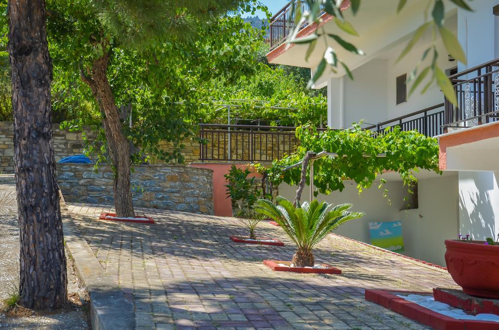 Pension Assos Κοίνυρα Εξωτερικό φωτογραφία